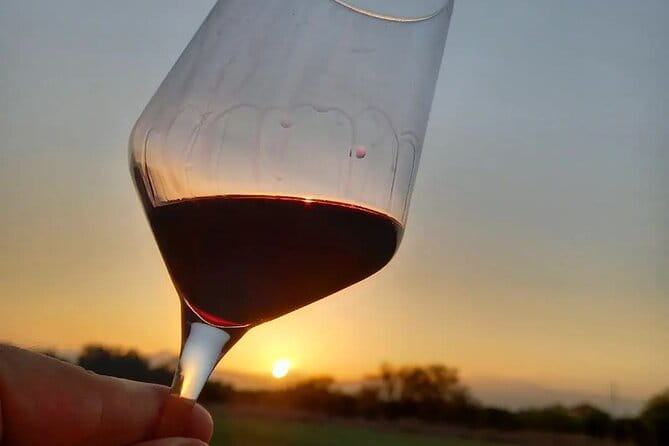 Corinth Winery Tour and Organic Fine Wine Tastings - Who Will Love This Tour?