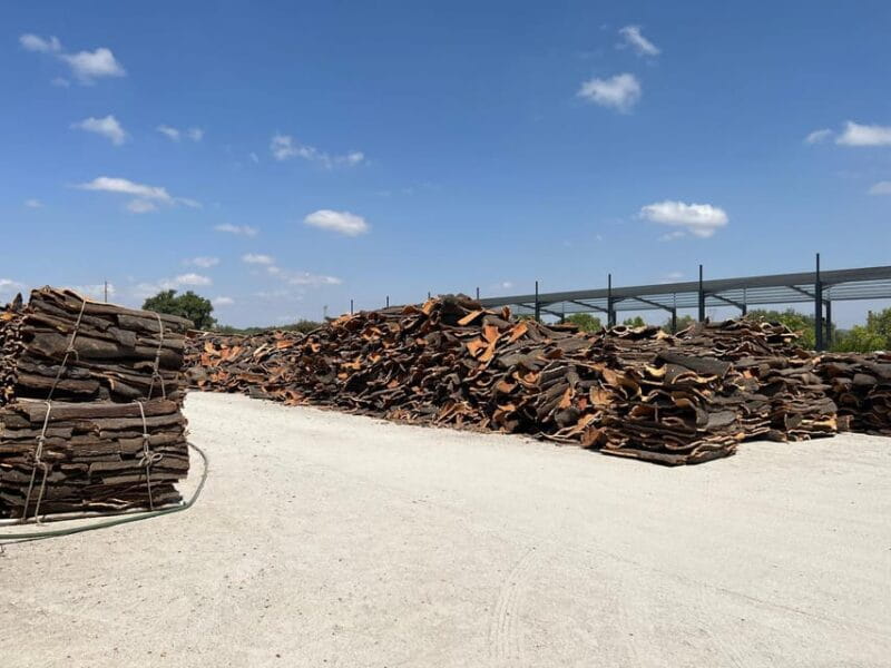 Cork Factory, Wine Tasting & Évora Visit - Key points / Takeaways