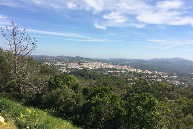 Cork Secrets - Key points / Takeaways