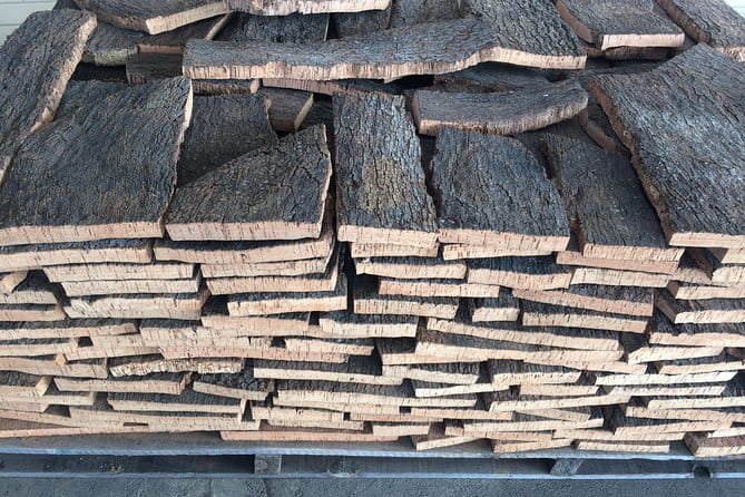 Cork Secrets - Discovering the Algarve’s Hidden Sides