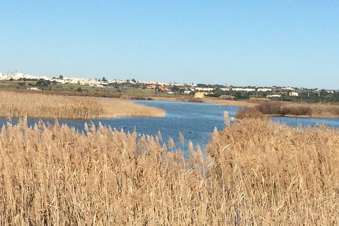 Cork Secrets - The Cork Factory Experience: What You’ll Learn