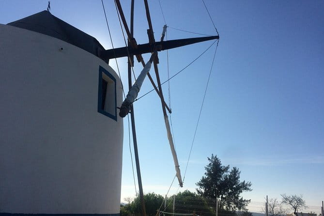 Cork Secrets - Practical Considerations and Value