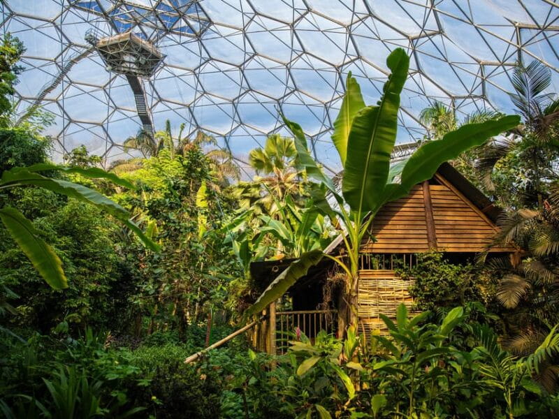 Cornwall: Eden Project Entry Ticket - FAQs