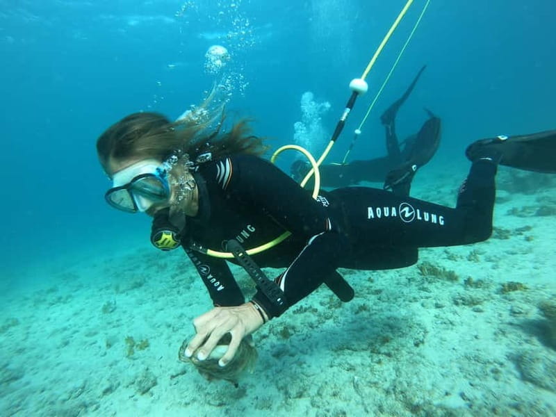 Corralejo: Lobos Island Beginner Dive Boat Tour and Snorkel - The Sum Up: An Authentic, Fun Introduction to Underwater Life