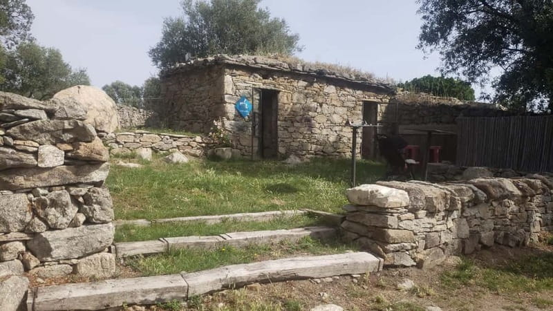 Corsica: Organic wine tasting - Key points / Takeaways