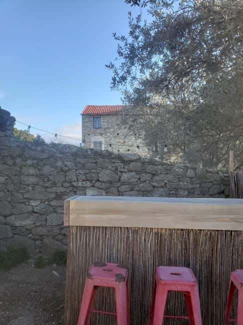 Corsica: Organic wine tasting - The Tasting: Senses and Stories in Every Glass