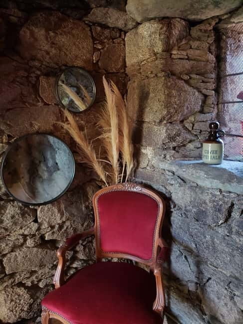 Corsica: Organic wine tasting - Who Should Consider This Experience?