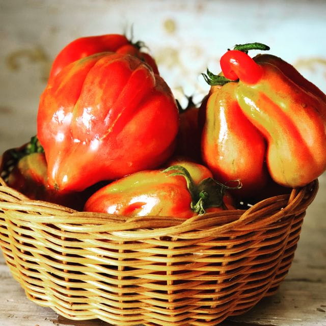 Cortona: Pasta and Pizza Cooking Class - Key Points / Takeaways