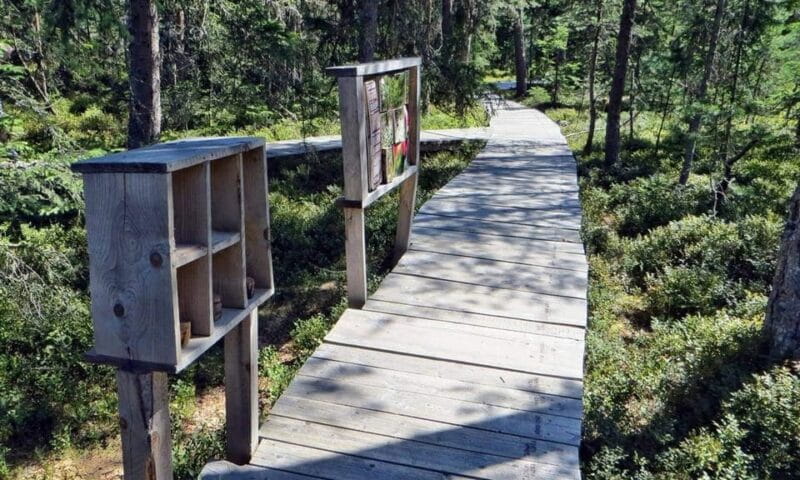 Corund, HR: Backcountry Gastro Tour with Lunch and Dinner - Price and Logistics