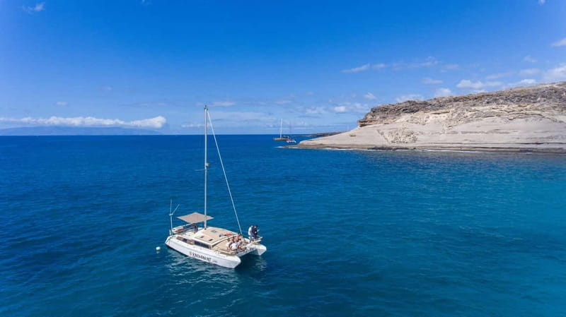 Costa Adeje: Catamaran Tour, Snorkelling, Snacks & Drinks - The Value and Cost: Is It Worth It?