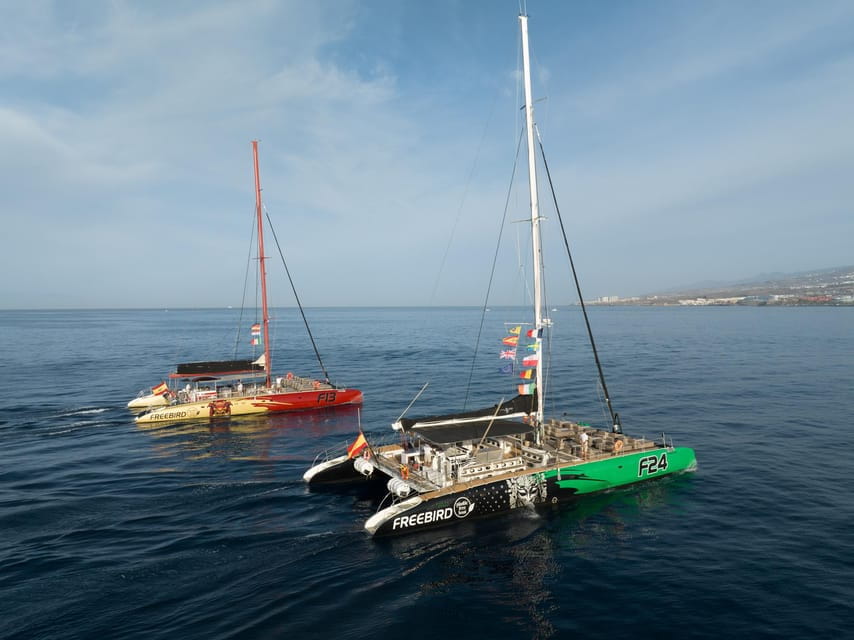 Costa Adeje: Masca and Los Gigantes Whale Watching Cruise - Experience Highlights