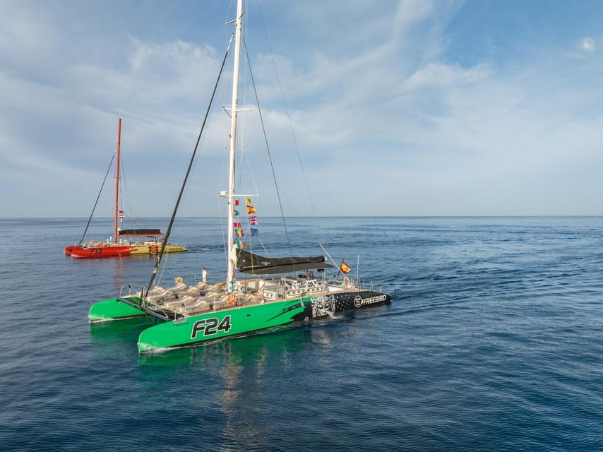 Costa Adeje: Masca and Los Gigantes Whale Watching Cruise - Tour Details and Guide Information