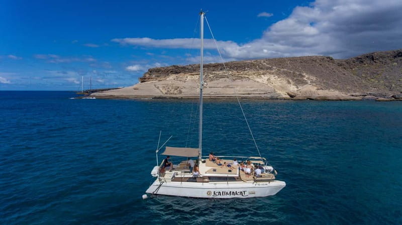Costa Adeje: Private Catamaran Tour 22 Persons Max - Setting Sail: A Closer Look at the Experience