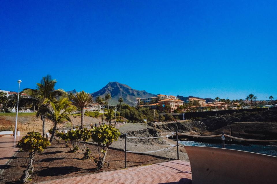 Costa Adeje: Tuk Tuk Tour - Things To Know