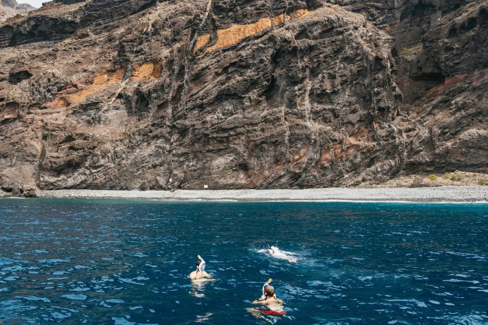 Costa Adeje: Whale & Dolphin Eco-Cruise With Snacks & Drinks - Key Points