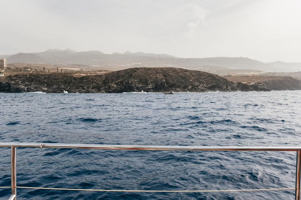 Costa Adeje: Whale & Dolphin Eco-Cruise With Snacks & Drinks - Booking Information