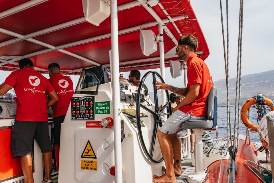 Costa Adeje: Whale & Dolphin Eco-Cruise With Snacks & Drinks - Customer Feedback