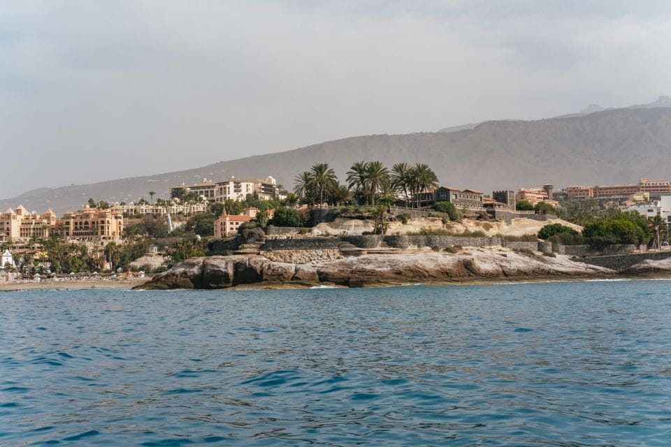 Costa Adeje: Whale & Dolphin Eco-Cruise With Snacks & Drinks - Meal Options