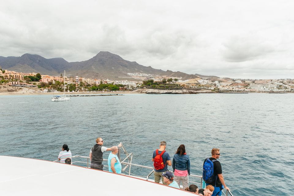 Costa Adeje: Whale & Dolphin Submarine Vision Mini Cruise - Unique Experience Highlights