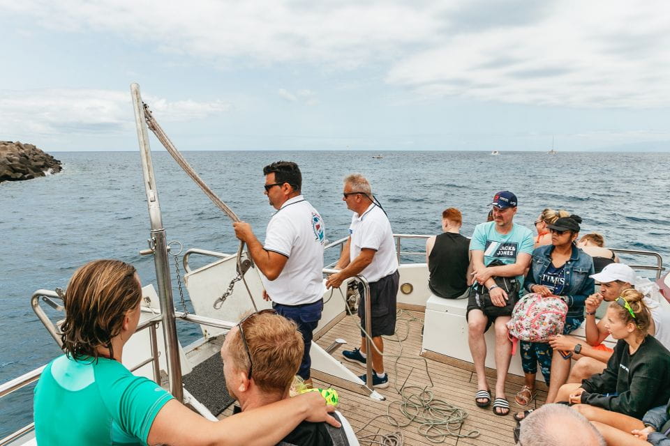 Costa Adeje: Whale & Dolphin Submarine Vision Mini Cruise - What to Bring on Board