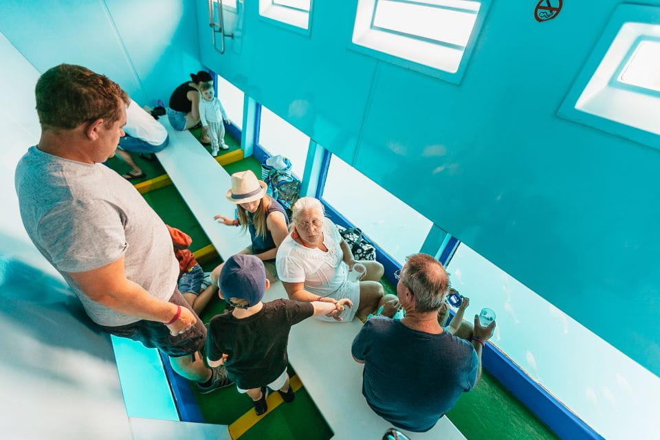 Costa Adeje: Whale & Dolphin Submarine Vision Mini Cruise - Booking and Cancellation Policies