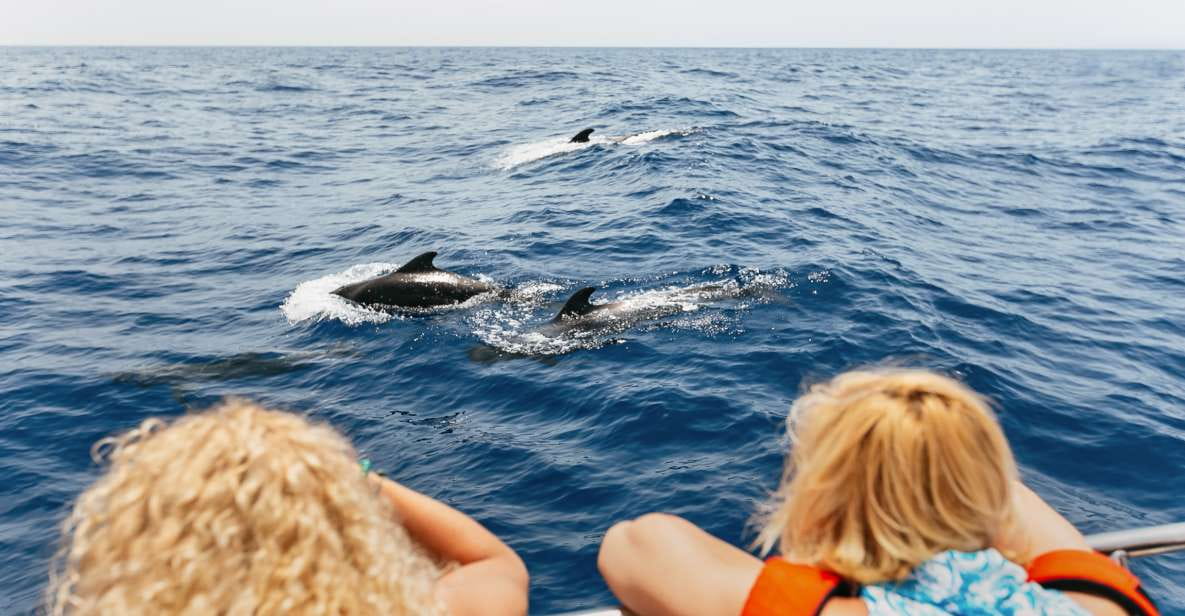 Costa Adeje: Whale Watching Catamaran Tour With Drinks - Experience Highlights