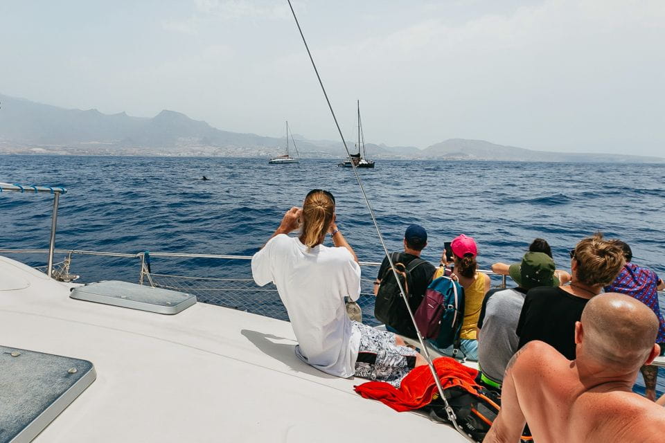 Costa Adeje: Whale Watching Catamaran Tour With Drinks - Important Information and Regulations