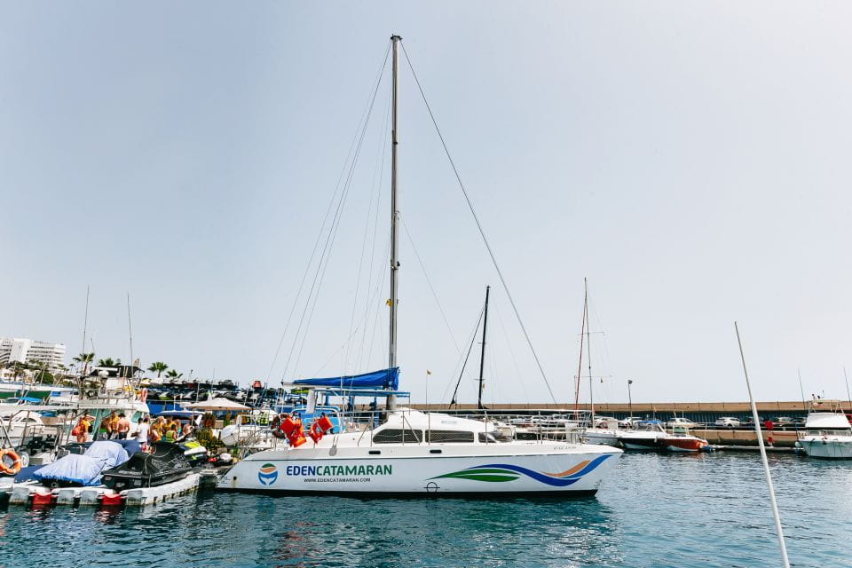 Costa Adeje: Whale Watching Catamaran Tour With Drinks - Tips for Your Tour