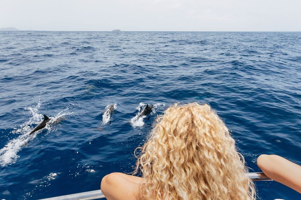 Costa Adeje: Whale Watching Catamaran Tour With Drinks - Things To Know