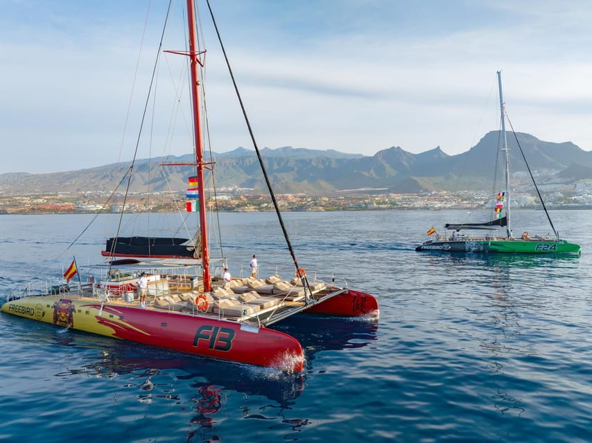 Costa Adeje: Whale Watching Tour With Food and Drinks - Key Points