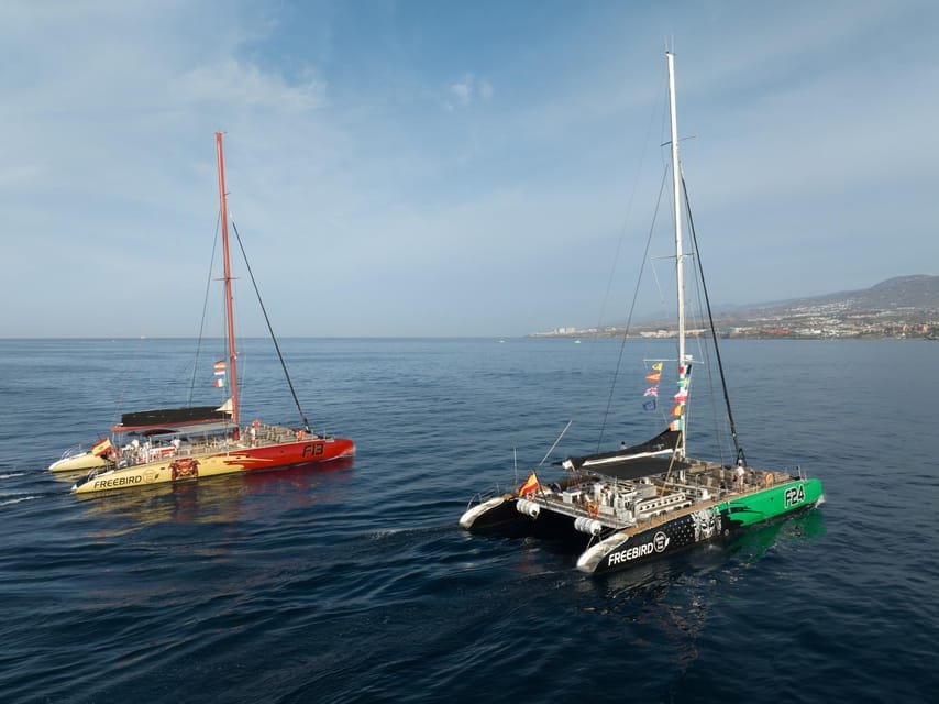 Costa Adeje: Whale Watching Tour With Food and Drinks - Participant Information