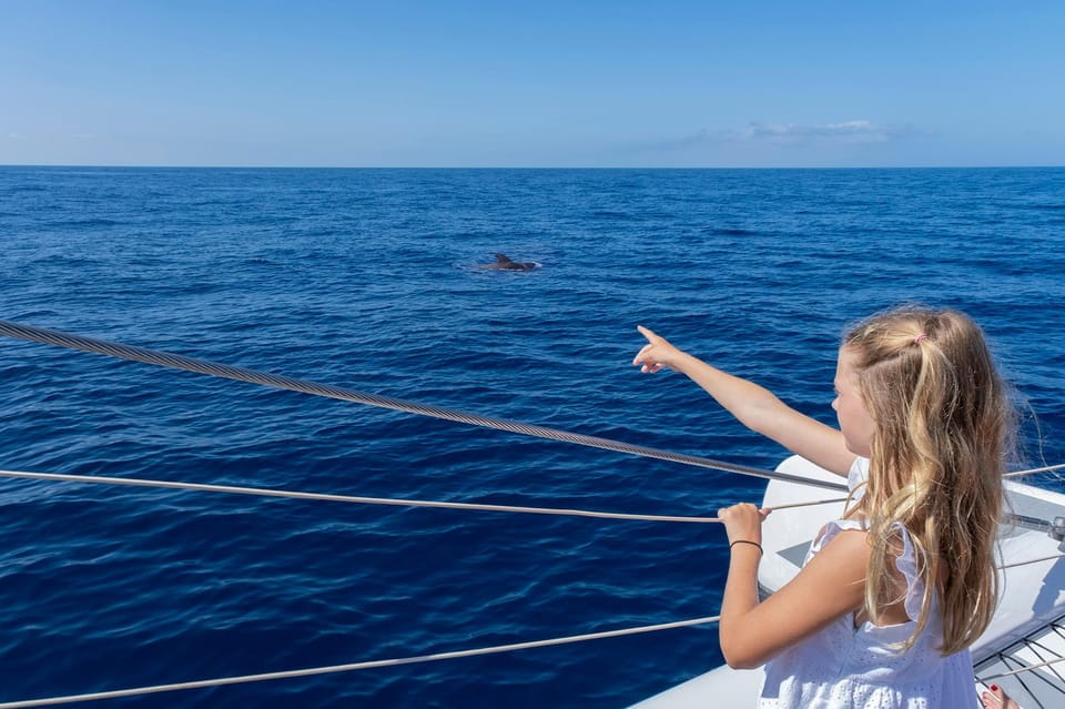 Costa Adeje: Whale Watching Tour With Food and Drinks - Customer Reviews and Ratings
