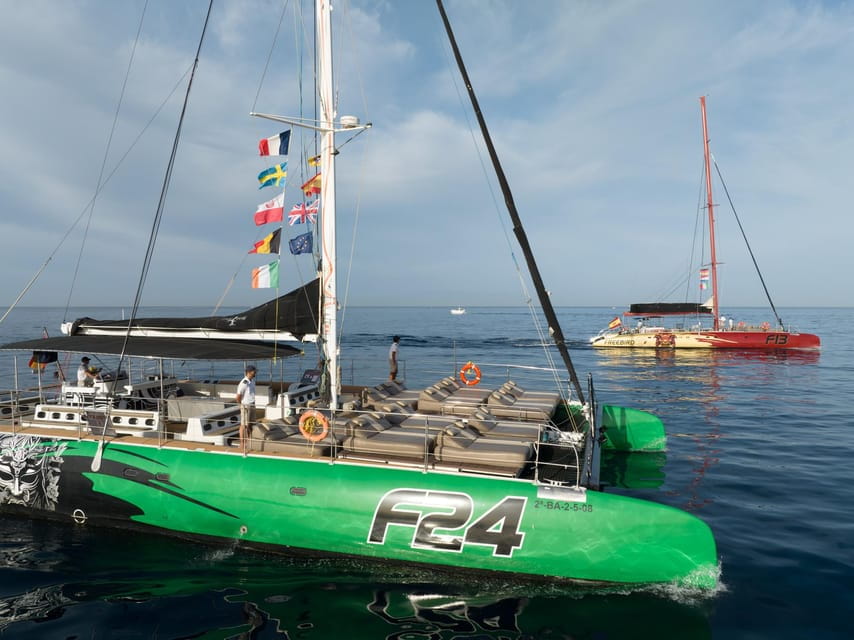 Costa Adeje: Whale Watching Tour With Food and Drinks - Additional Activities and Amenities