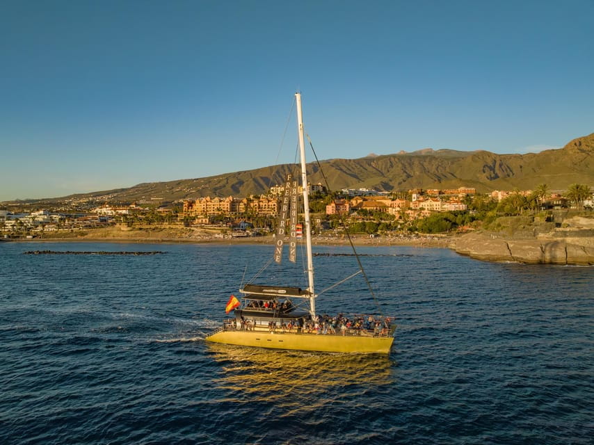 Costa Adeje: Whale Watching Tour With Food and Drinks - Things To Know