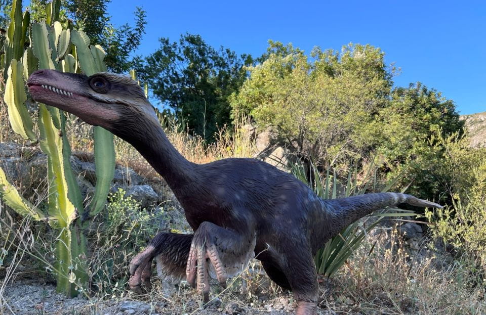 Costa Blanca: DinoPark Algar Entry Ticket - Visitor Experiences