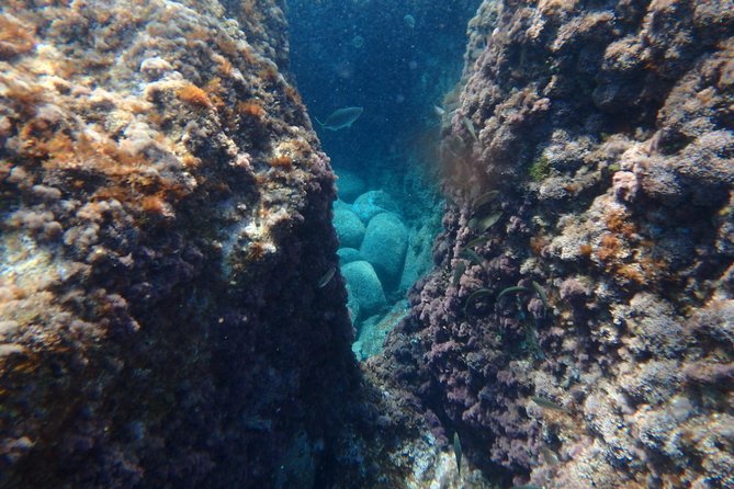 Costa Brava Day Adventure: Kayak, Snorkel & Cliff Jump With Lunch - Certified Kayak Instructors