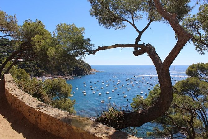 Costa Brava Full Day Trip From Barcelona With Boat Trip - Inclusions and Other Information