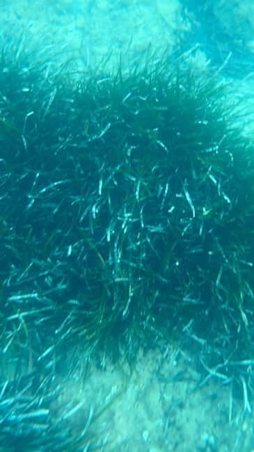 Costa Brava: Sant Feliu de Guíxols Kayak & Snorkel Tour - Final Thoughts