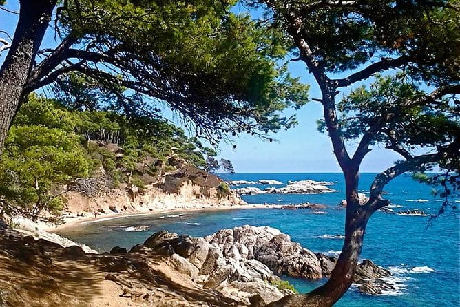 Costa Brava Small Group Hiking Tour from Barcelona - Entering the Costa Brava: An Authentic Coastal Journey