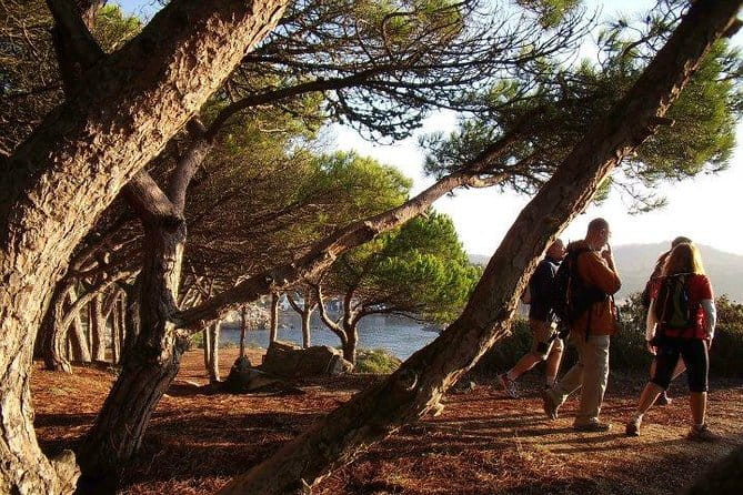 Costa Brava Small Group Hiking Tour from Barcelona - Who Will Love This Tour?