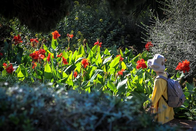 Costa Brava Small Group Tour From Barcelona With Traditional Lunch - Meeting and Pickup