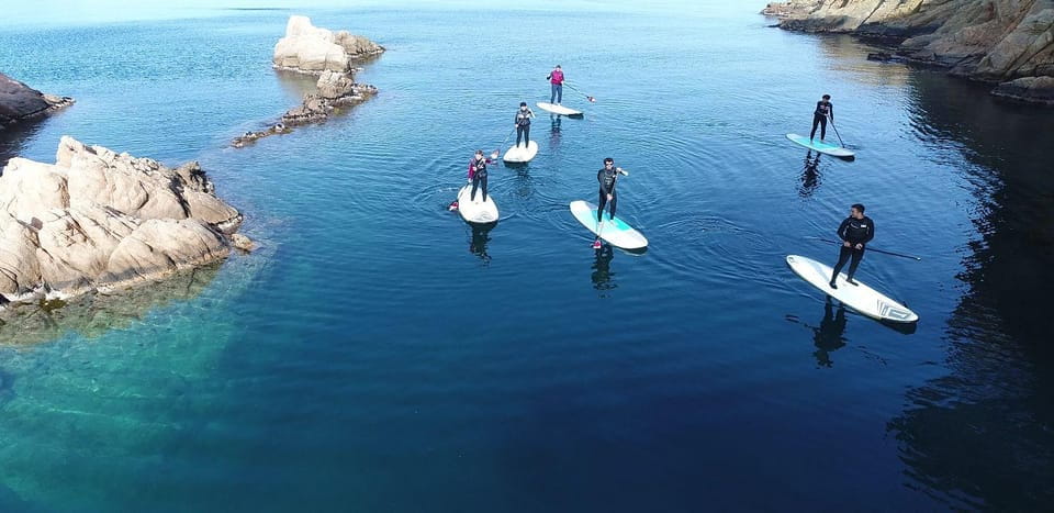 Costa Brava: Stand-Up Paddleboarding Lesson and Tour - Customer Reviews and Ratings
