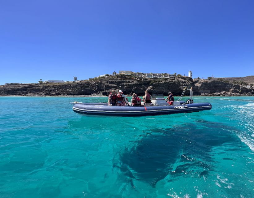 Costa Calma: Fuerteventura Dolphin Watching Zodiac Boat Tour - Key Points
