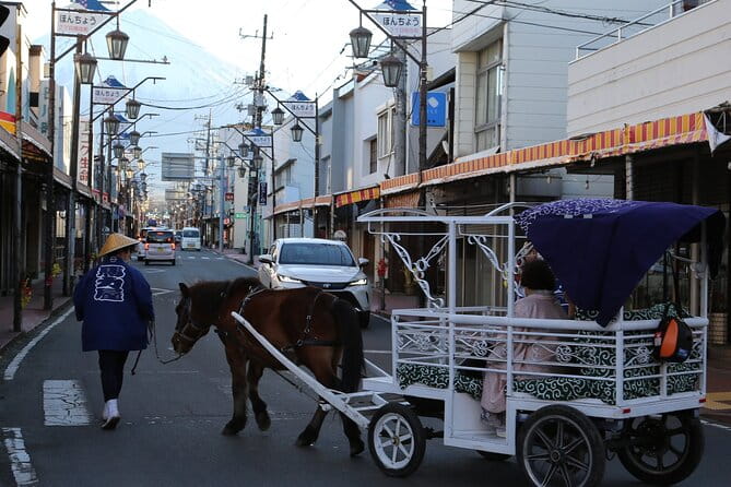 Cosy Horse Carriage Ride With Snowy Mt. Fuji Views - Breathtaking Views of Snowy Mt. Fuji