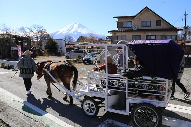 Cosy Horse Carriage Ride With Snowy Mt. Fuji Views - Whats Included in Your Tour