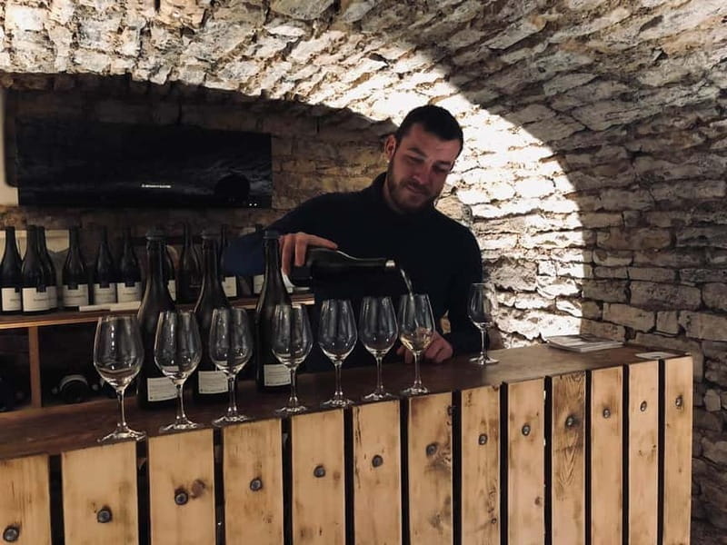 Côte de Nuits: 2h30 excursion among the vines - Key points / Takeaways