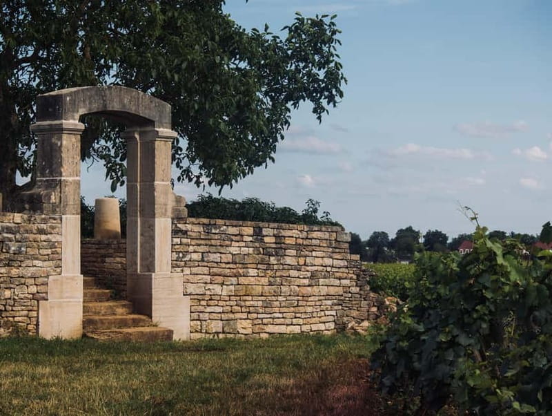 Côte de Nuits: 2h30 excursion among the vines - Price, Duration, and Overall Value