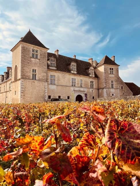 Côte de Nuits: 2h30 excursion among the vines - Who Would Love This Tour?