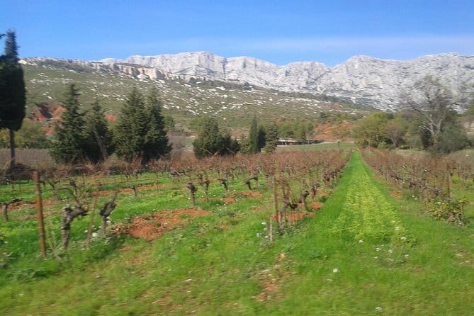 Cotes de Provence Wine Tour from Aix-en-Provence - Who Will Love This Tour