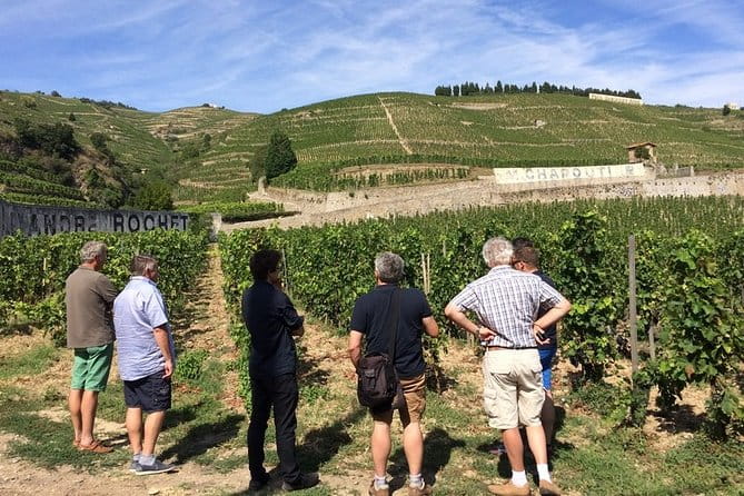 Cotes du Rhone Wine Tour - Private Tour - Full Day From Lyon - Key Points